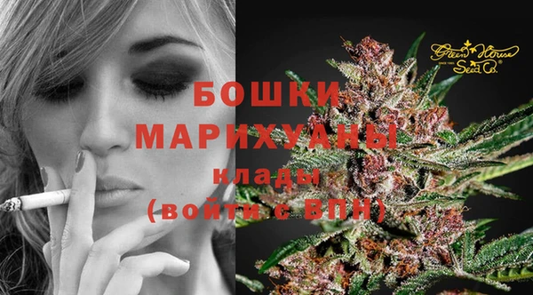 дурь Бикин