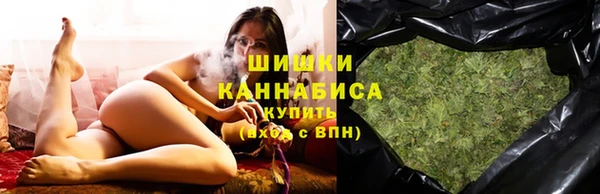 гашик Богородск