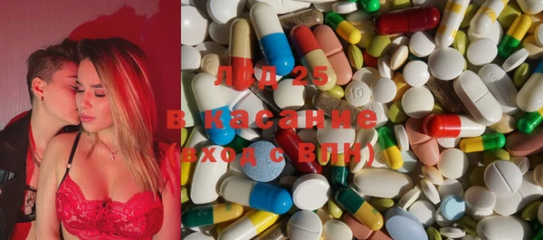 ECSTASY Бородино