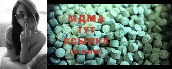 ECSTASY Бородино