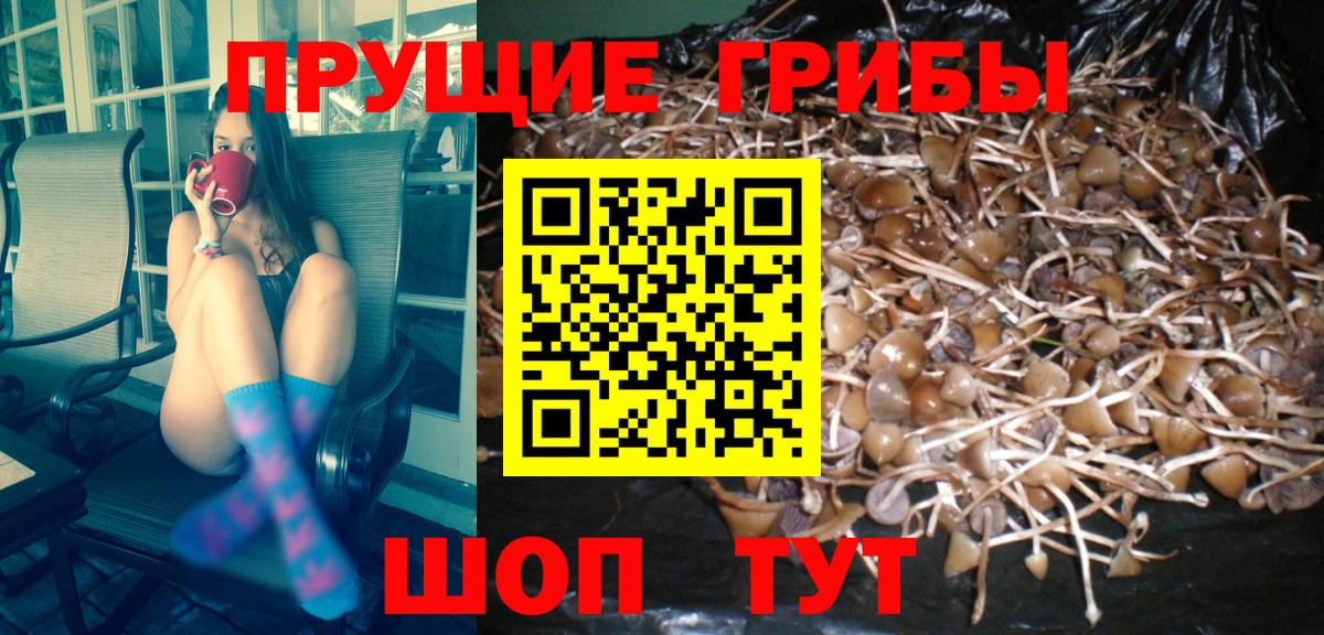 Меф мяу мяу Вязники