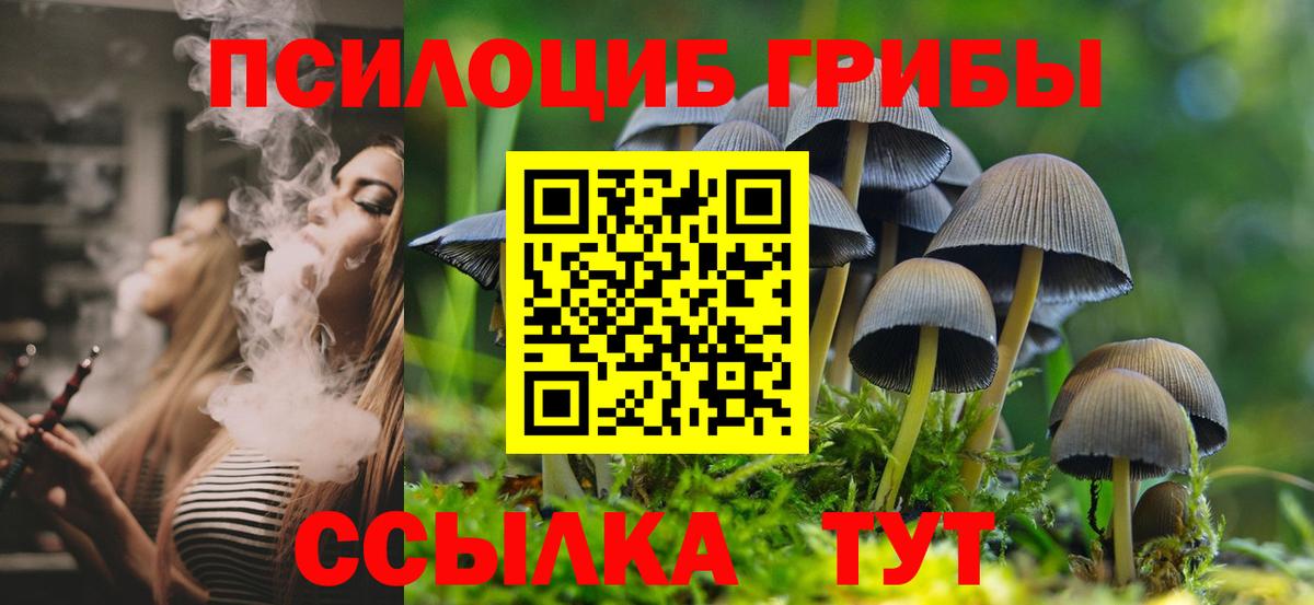 Вязники  Галлюциногенные грибы Cubensis  Вход с VPN 